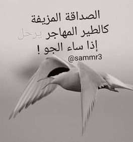 شعر عن الصداقة المزيفة