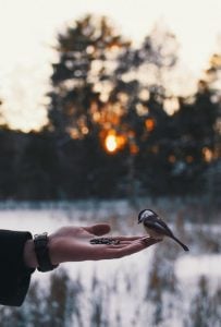 شعر عن العطاء