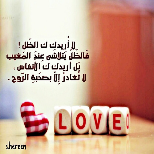 شعر عيد الحب