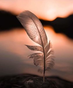 شعر غزل شعبي جريء