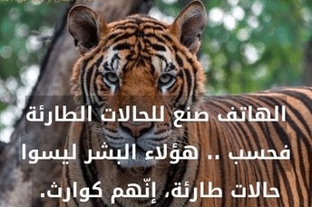 شعر غزل عن الهاتف