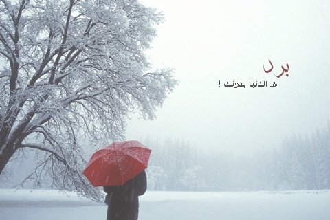 شعر في وصف الثلج