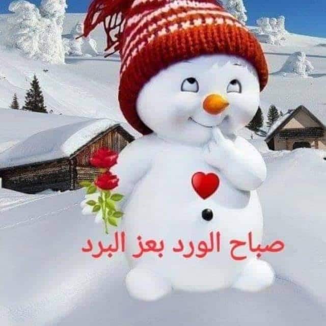 شعر في وصف الثلج
