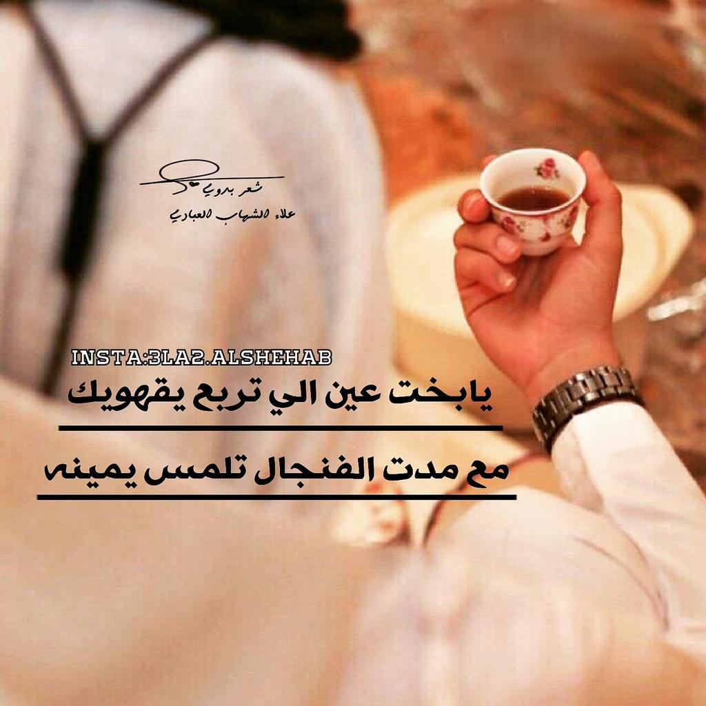 شعر في وصف الدله