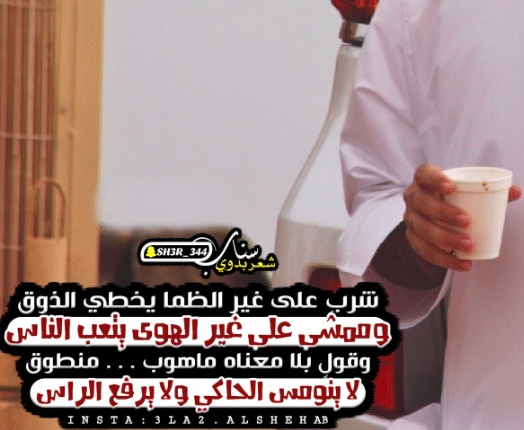 شعر في وصف الدله