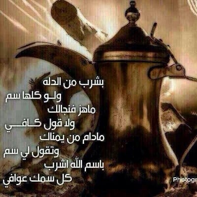 شعر في وصف الدله