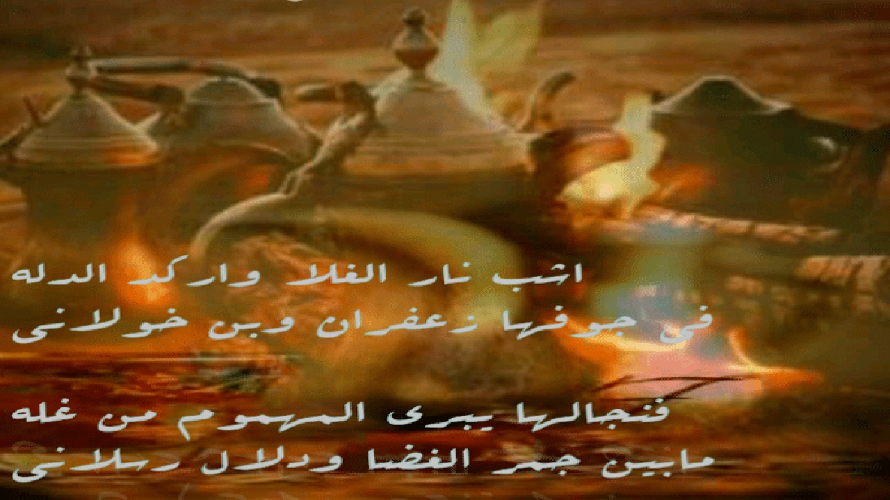 صورة شعر في وصف الدله