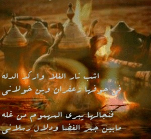 شعر في وصف الدله