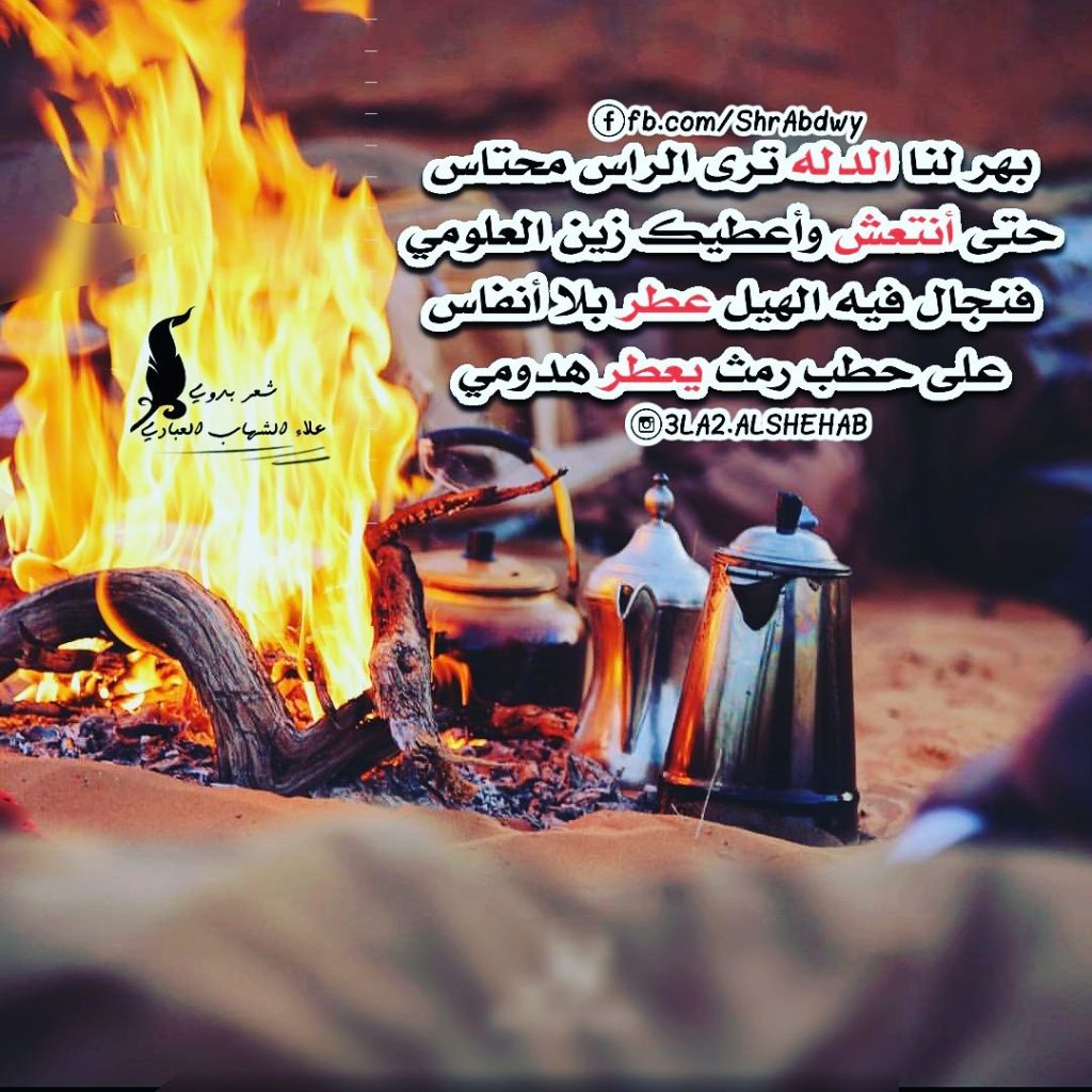 شعر في وصف الدله
