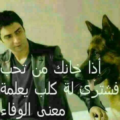 شعر في وصف الكلاب