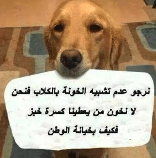 شعر في وصف الكلاب
