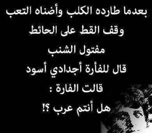 شعر في وصف الكلاب
