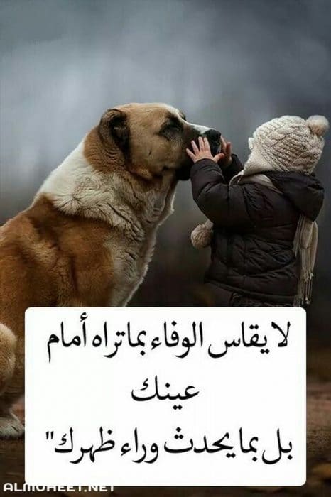 شعر في وصف الكلاب