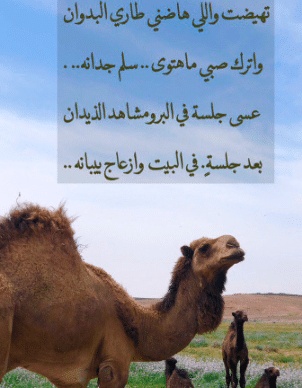 شعر في وصف الهجن