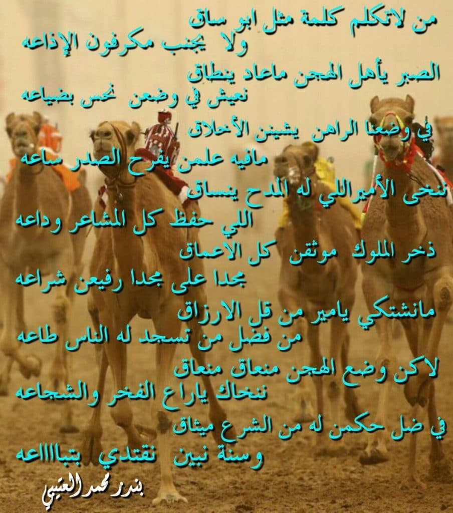 شعر في وصف الهجن