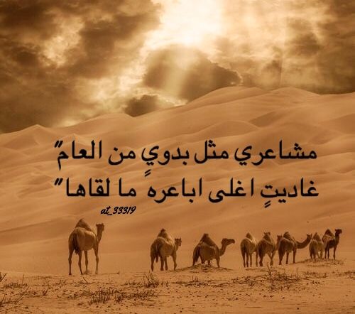 شعر في وصف الهجن