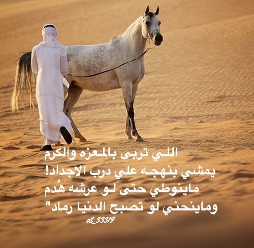 شعر وصف الابل