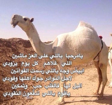 شعر وصف الابل