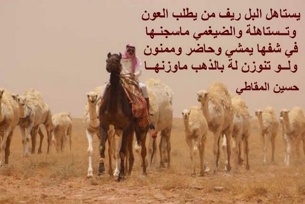 شعر وصف الابل