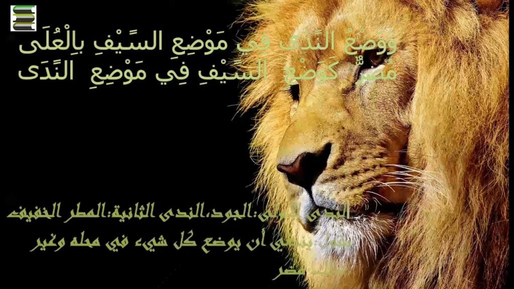 شعر وصف الاسد