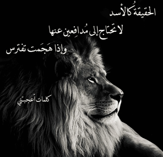 شعر وصف الاسد