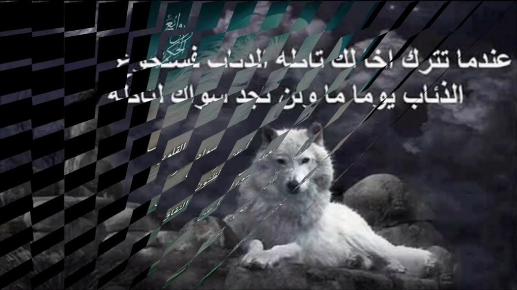 شعر وصف الذئب