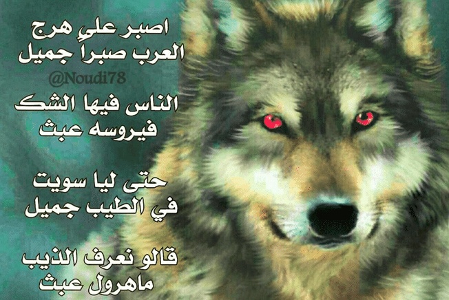 شعر وصف الذيب