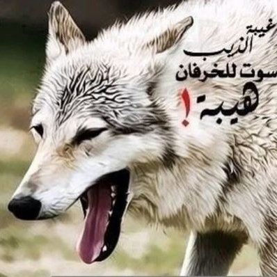 شعر وصف الذيب