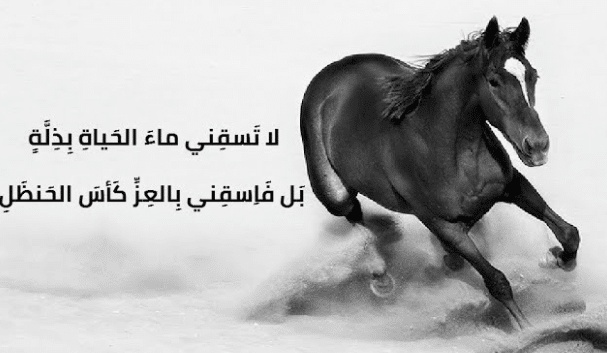 شعر وصف الرجاجيل