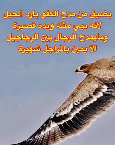 شعر وصف الرجاجيل