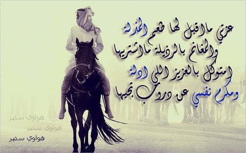 شعر وصف الرجاجيل