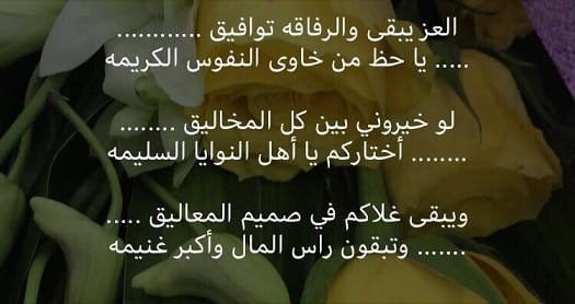 شعر وصف الرجل الشجاع