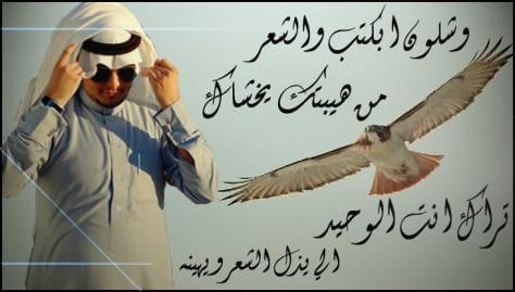 شعر وصف الرجل الشجاع