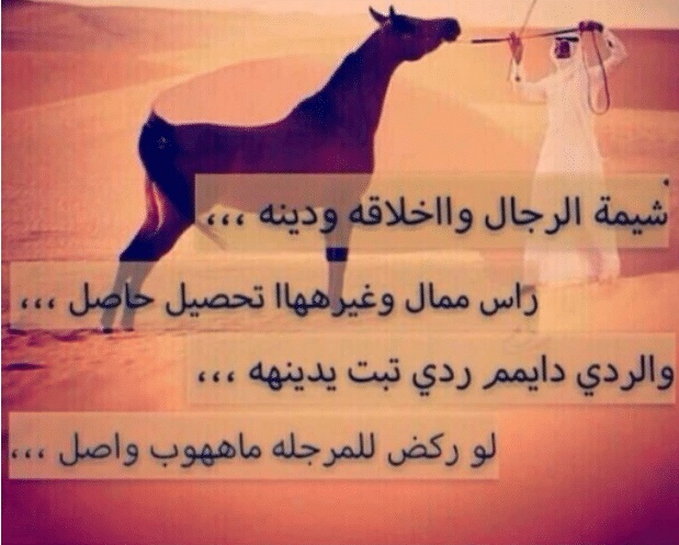 شعر وصف الرجوله