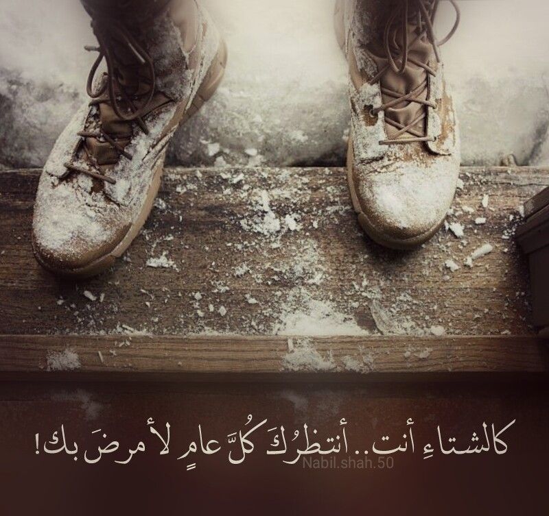 شعر وصف الشتاء