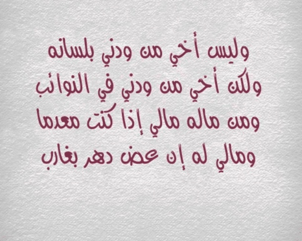 شعر وصف الصديق الوفي