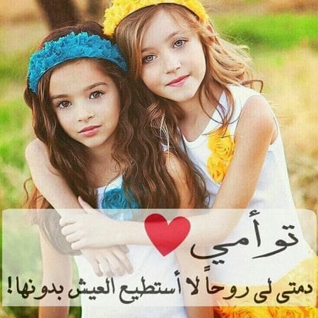 شعر وصف الصديقة