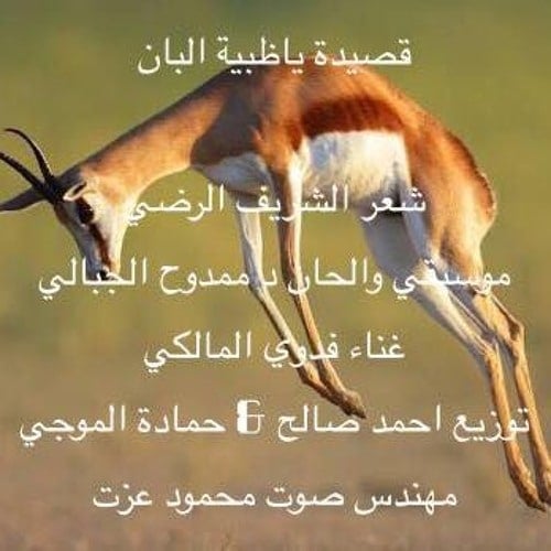 شعر وصف الظبي