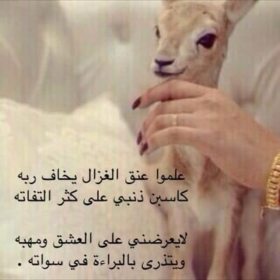 شعر وصف الظبي