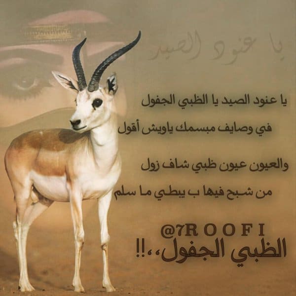 شعر وصف الظبي