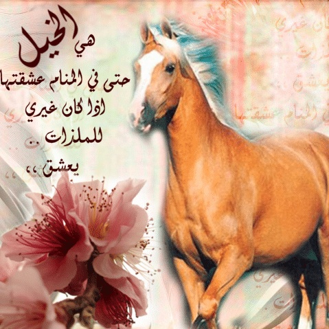 شعر وصف الفرس