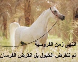 شعر وصف الفرس