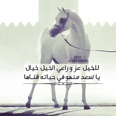 شعر وصف الفرس