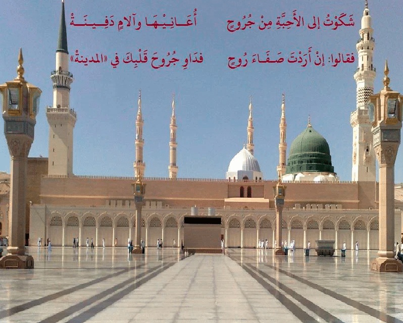 شعر وصف المدينة المنورة
