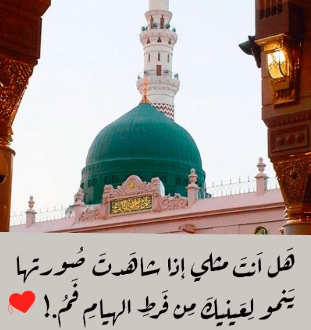شعر وصف المدينة المنورة