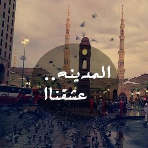 شعر وصف المدينة المنورة