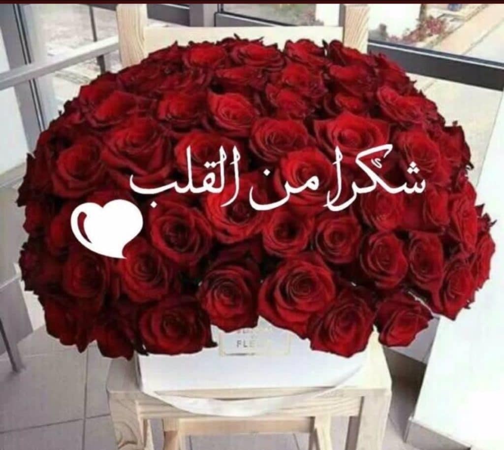 شكرا تلميذتي
