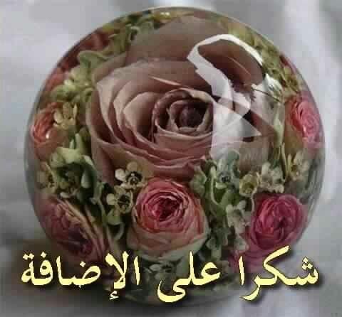 شكرا لقبول الانضمام للمجموعة