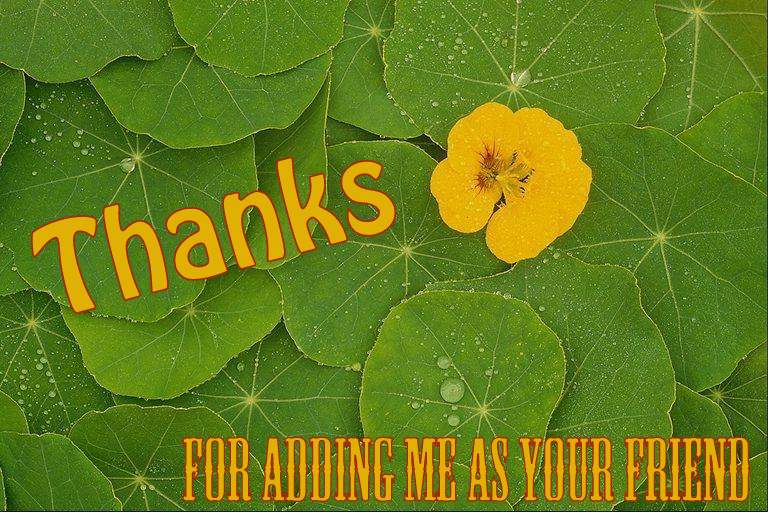 شكرا لقبول الصداقة فيس بوك