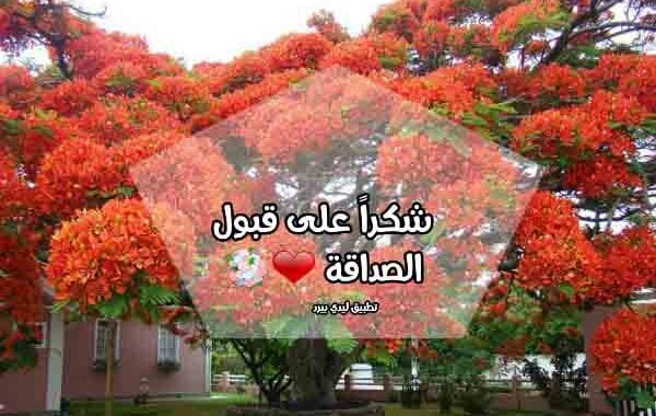 شكرا لقبول الصداقة فيس بوك